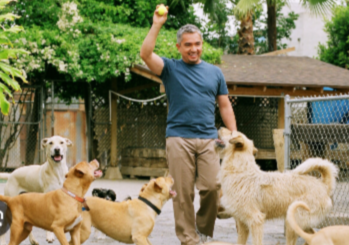 BOMBSHELL: Cesar Millan Shock Fans Today With The Big Announcement