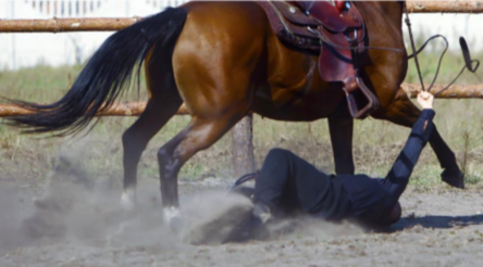 Sad Day In USA As A 9 Years Old Boy In An In Unstable Condition After He Was Injured By A Pony