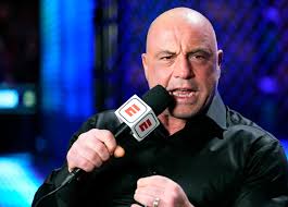 Joe Rogan Sparks Controversy with Elon Musk Interview—Then Makes Big UFC Comeback!